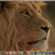 Best Tutorial How To Set Up Parse Server And Connect It To Xcode