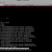 Code Signing Cobalt Strike S Executables And DLLs