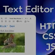 Build A Stunning Rich Text Editor From Scratch HTML CSS JS Tutorial