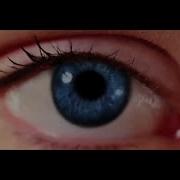 The Trailer EveriToken Hackathon 2018