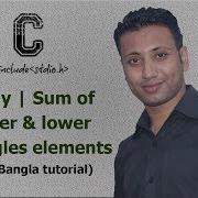 C Programming Bangla Tutorial 5 180 Array Sum Of Upper Lower Triangles Elements
