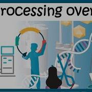 Bio Processing Overview Upstream And Downstream Process