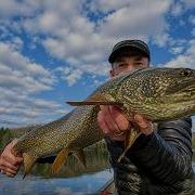 Поход на каноэ в метель с собакой и улов огромной озерной форели