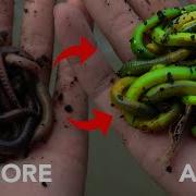 Making NEON GREEN GLOW WORMS Best Fishing Bait