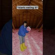 When You Eat The Cotton Candy In The Attic Shorts Relatable