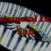 Centripetal Force Lab