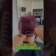 The Perfect Pixie Haircut Basic Line Complete Tutorial Linked Below