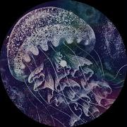 Polymorph 2