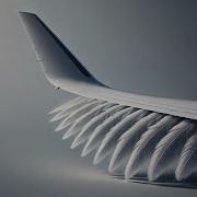 Morphing Wing Technology The Future Of Aviation