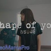 Shape Of You Cover By Ana Maria Ochoa Joan Baez With Lyrics Videomamapro Song