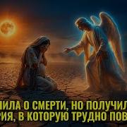 Секрет выживания Агари Что произошло в раскаленных песках