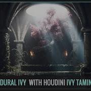 SideFX Houdini Ivy Taming Procedural Ivy Vine Vegetation