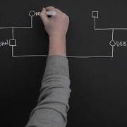 Dealing With Your Past Family Genogram