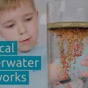 Fascinating Oil Water Science Experiment For Kids