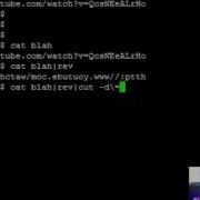 Linux Cut And Rev Commands Reverse