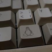 Fully Automated Linux Distribution Testing With Expect