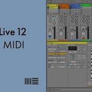 Learn Live 12 Editing MIDI Notes
