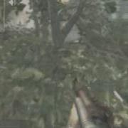 Cod5 2 Tree Glitches