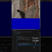 How To Add Background Video In HTML CSS Shorts Shortsvideo Viral