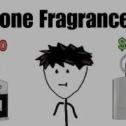 Clone Fragrances Are Amazing Like Actually