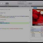 Script Debugger 7 Viewing Variables Values