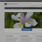 Responsive WordPress Theme Home Page Slider Google Search And Colophon Widget