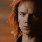 Sting They Dance Alone Cueca Solo