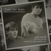 Tears For Fears Mad World Mike Howlett 82