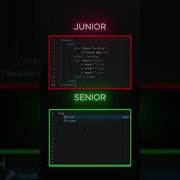 Junior Developer VS Senior Developer Web Webdeveloper Webdevelopment Coding Programming