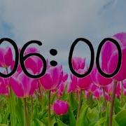 6 Minute Spring Countdown Timer With Music