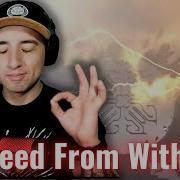 Welcome Back Boys Bleed From Within The Will To Resist REACTION
