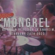 197 Drum Cam Mongrel 02 24 2023