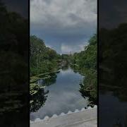 Easy On Me Male Cover