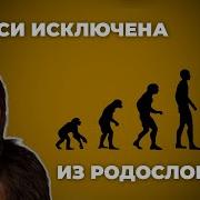Люси как австралопитека афарского исключили из родословной человека