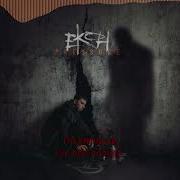 Ekoh Self Destruct Lyric Video