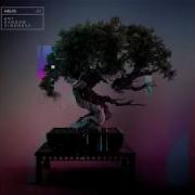 HÆLOS So Long Goodbye Official Audio