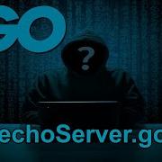 Coding Concurrent Echo Server Offensive GO Tutorial 2021