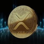 What Is Ripple And XRP 2023