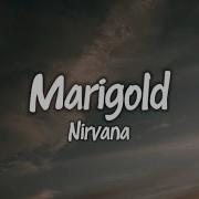 Nirvana Marigold Lyrics Songs