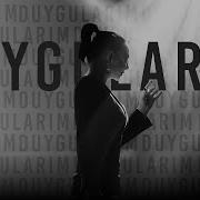 Ebru Gündeş Duygularım Lyric Video