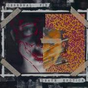 Cerebral Fix Still In Mind