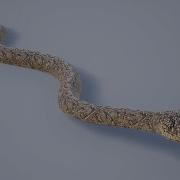 Medhue Python For Sale In Unreal Engine