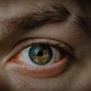 Ali Talha Çevik Bu Şehir Girdap Gülüm I Official Lyric Video