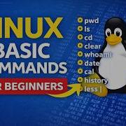 Linux Basic Commands For Beginners Pwd Ls Cd Clear Whoami Date Cal History Less Pipe
