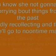 Shaggy It Wasn T Me With Lyrics