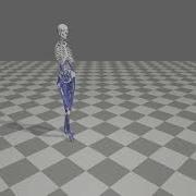 Opensim VideoFull Body Walking