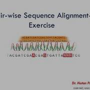 Global Local Alignment Exercise