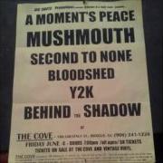 Behind The Shadow NJHC Assorted Tracks Circa 1999