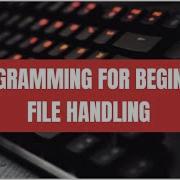 Random Access File Handling