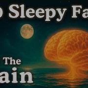 100 Facts About The Brain Fall Asleep To Science